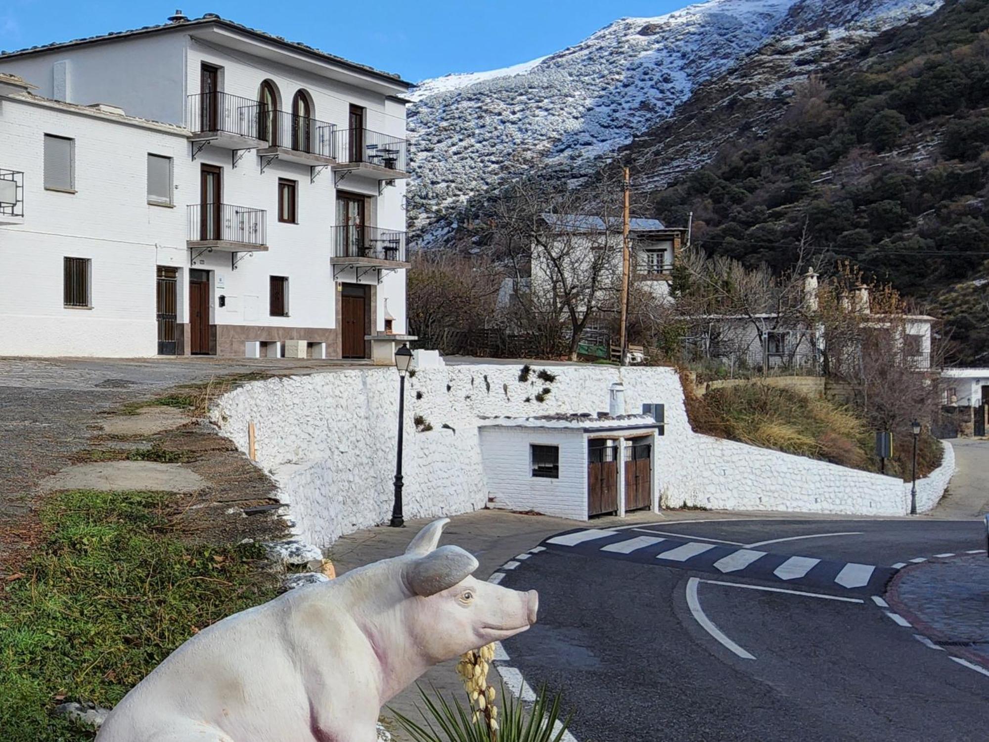 Alojamiento Rural Casa Clara La Pescaora Trevélez Eksteriør billede